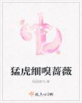 男人说心有猛虎细嗅蔷薇含义