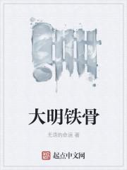 大明铁骨主角有几个妃子