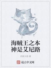 海贼王之艾尼路起始在线