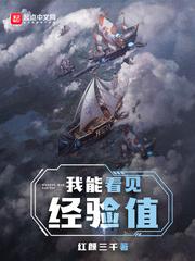 我能看见经验值123读