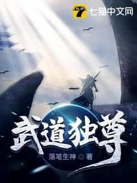 武道独尊第二季