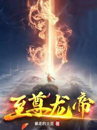 至尊龙帝燃文网