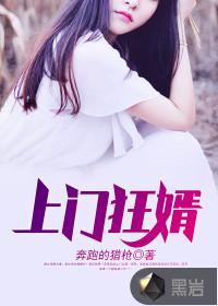 上门狂婿叶辰萧初然