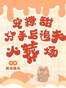 宠!撩!甜!分手后追夫火葬场 孤鸢画鸟