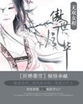 风华无双之傲世大陆