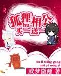 狐狸相公书籍